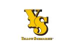 ys-logo